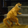 b0008825_22391958.gif