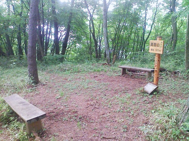 2010/06/05　瀬渕山　高指山　不老山_b0184725_0185989.jpg