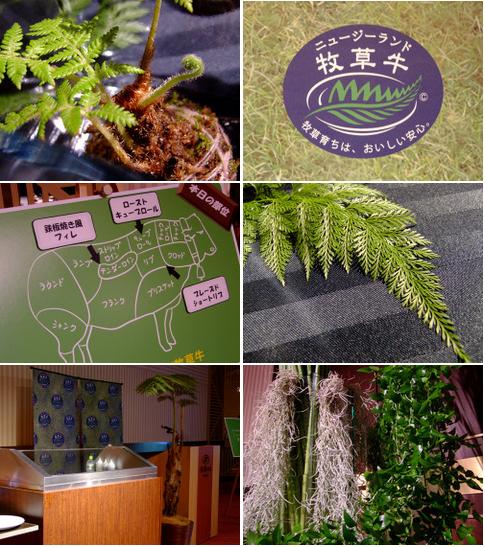 「西新宿 ニュージーランド牧草牛試食ディナー」_a0000029_126976.jpg