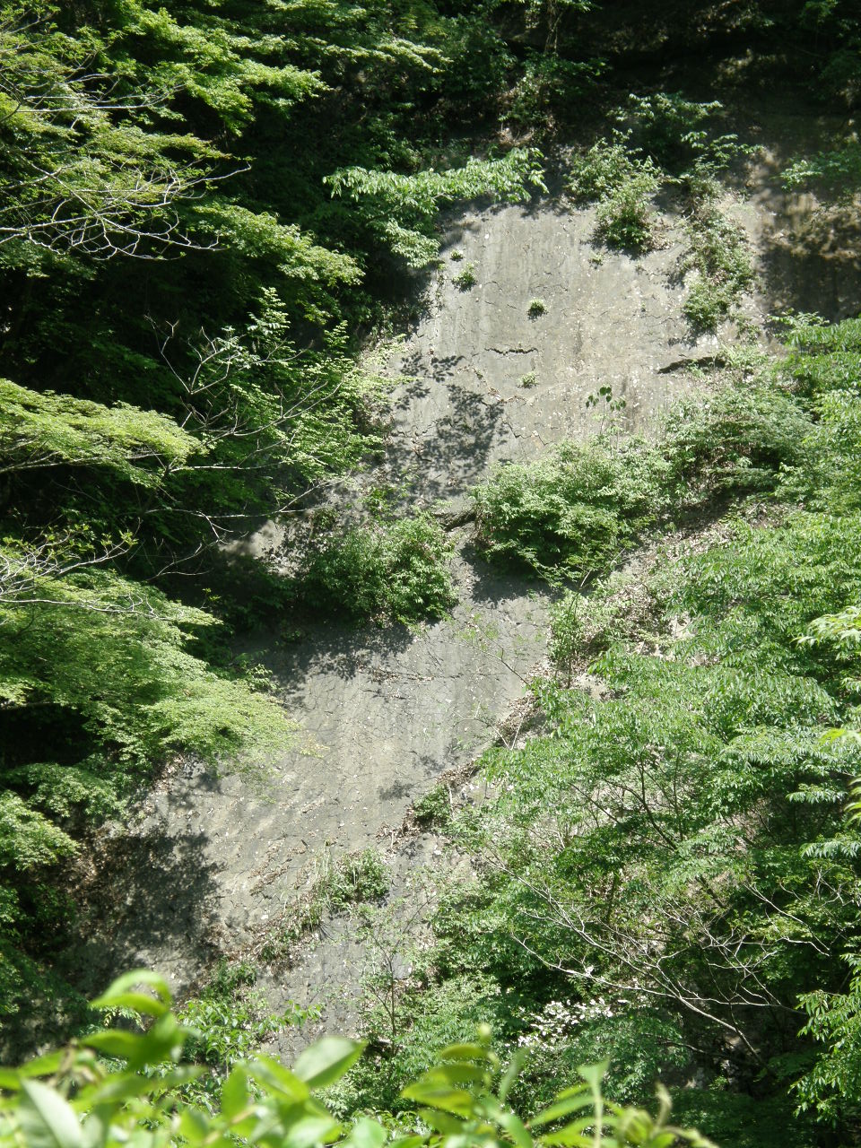 c0141933_23105489.jpg