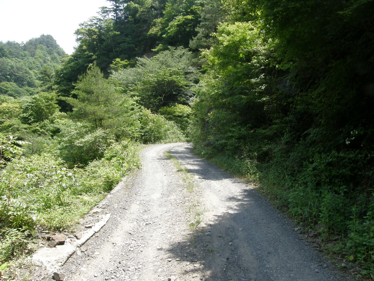 c0141933_2343617.jpg