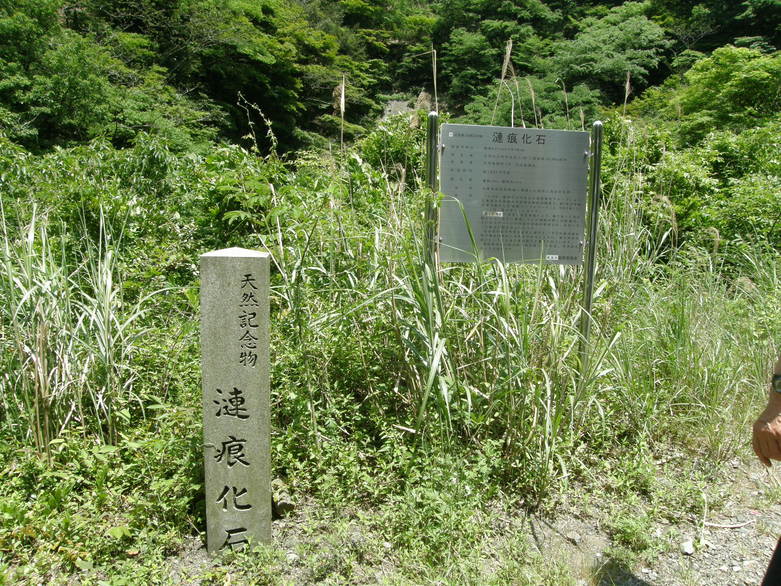 c0141933_2385893.jpg
