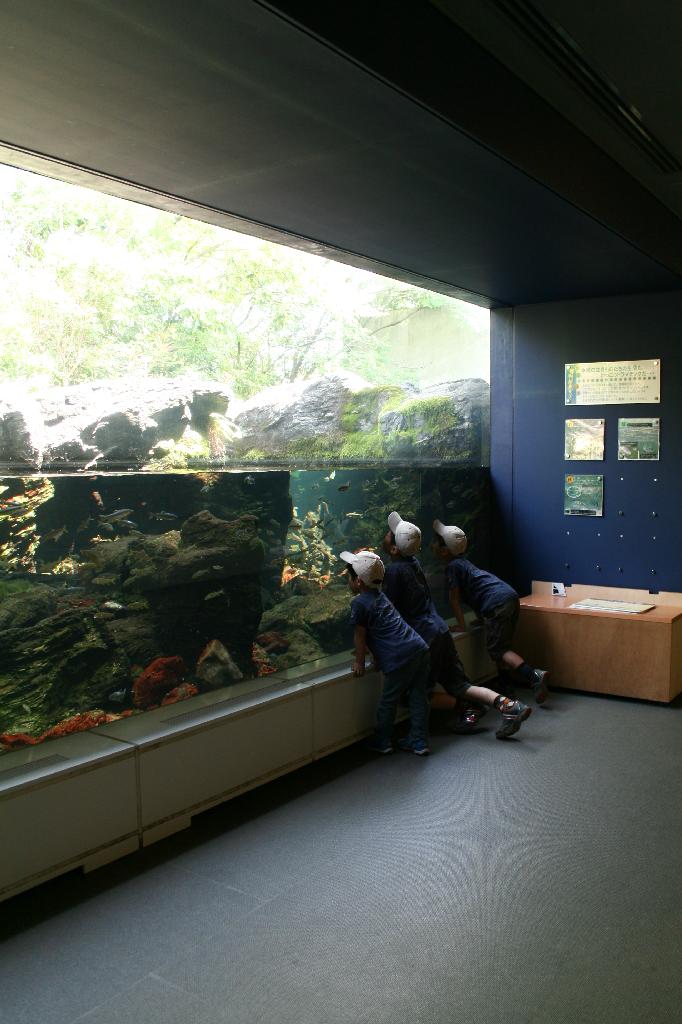 どんこ釣り大会_e0071035_10233695.jpg