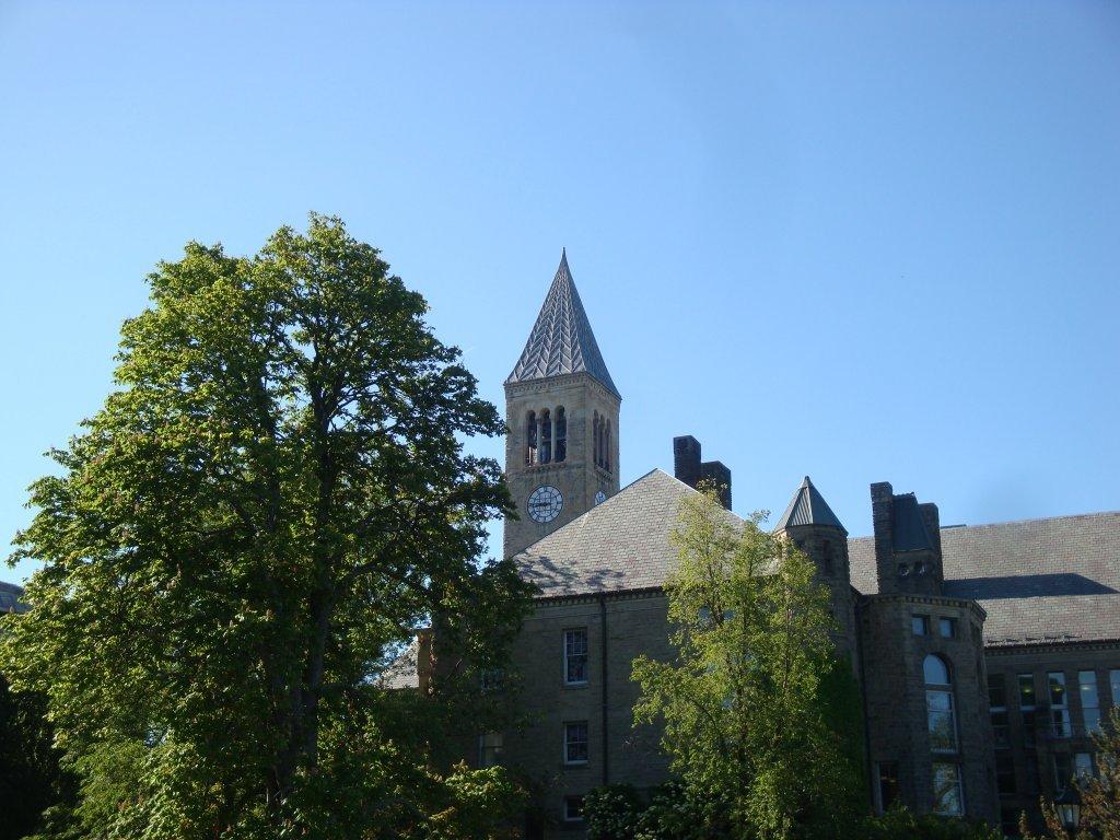 Graduation -Cornell University-_b0115536_10392929.jpg