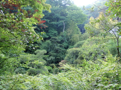 c0097838_17133417.jpg