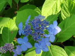 c0097838_2138560.jpg