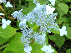 c0097838_21523772.jpg