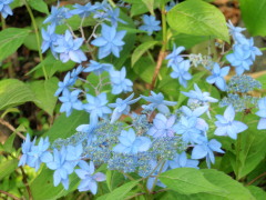 c0097838_2157294.jpg