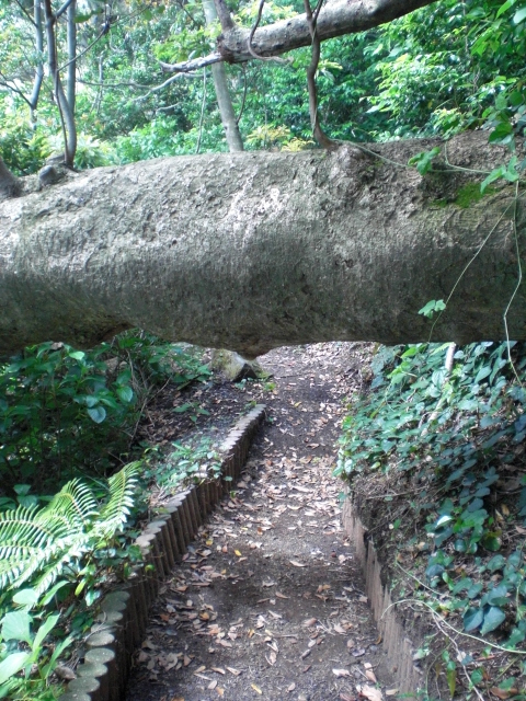 e0139338_21553456.jpg
