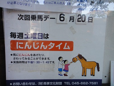くつ下vs椅子カバー@森林公園_e0195743_12205699.jpg