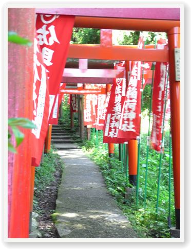 鎌倉　海蔵寺〜銭洗弁財天〜佐助稲荷神社_e0017161_1720448.jpg