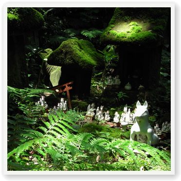 鎌倉　海蔵寺〜銭洗弁財天〜佐助稲荷神社_e0017161_17264374.jpg