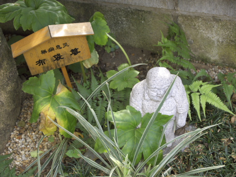 c0071763_28149.jpg