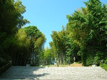 f0139963_23331246.jpg