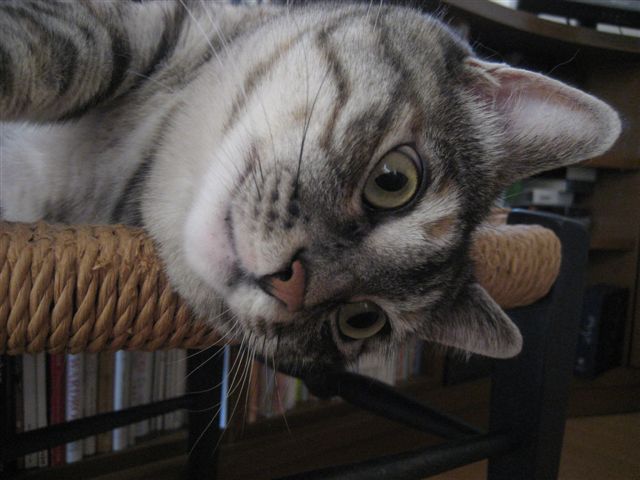 a0123465_2358575.jpg