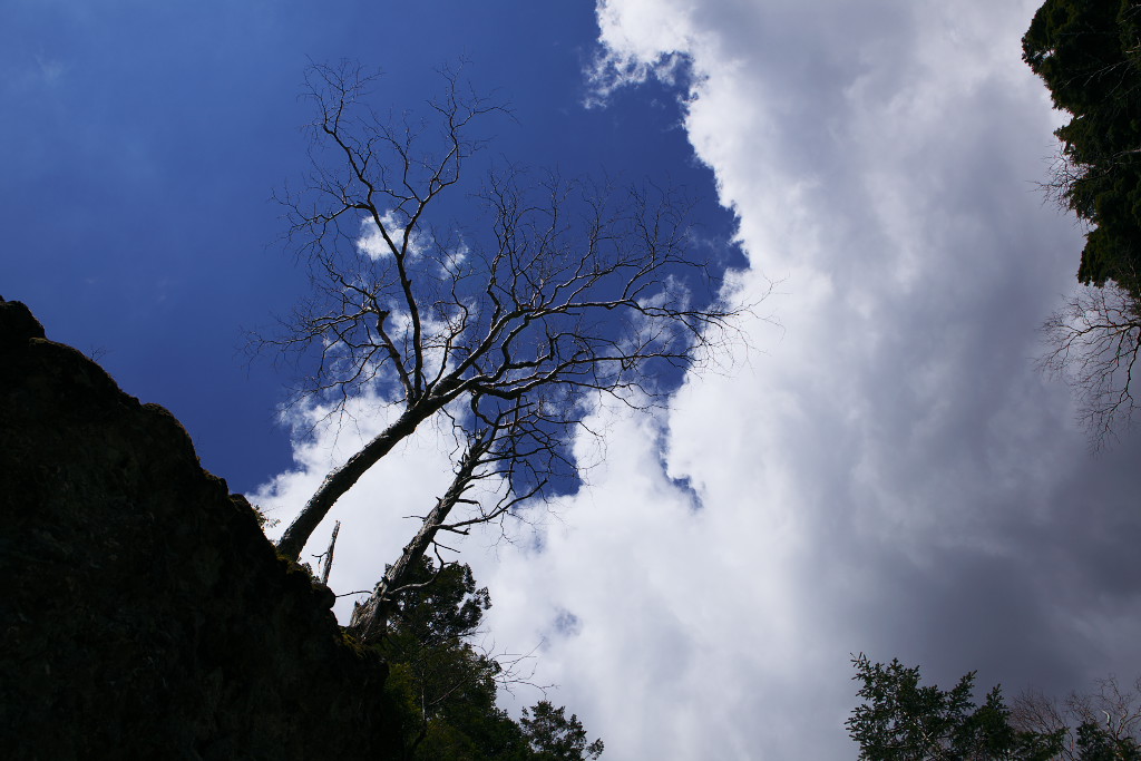 f0171065_20291678.jpg