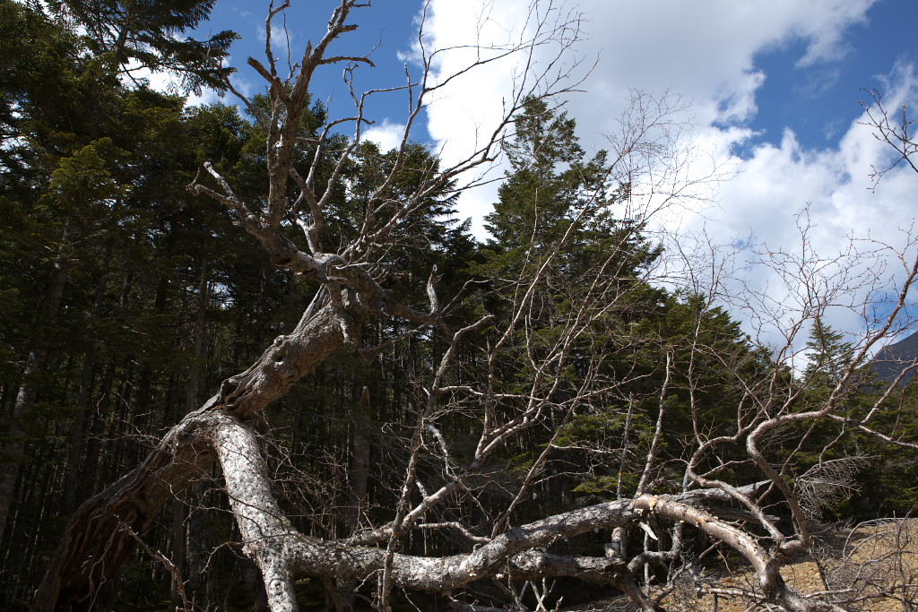 f0171065_20415131.jpg