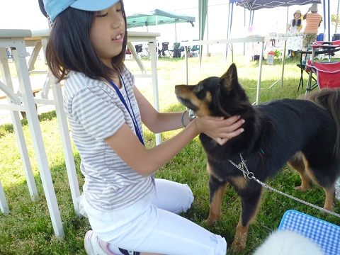 湘南犬親会①_d0004968_14524591.jpg