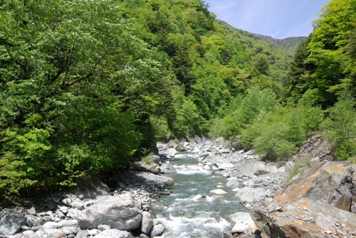 クモツキを追って　-静岡編-　①_e0167571_61997.jpg