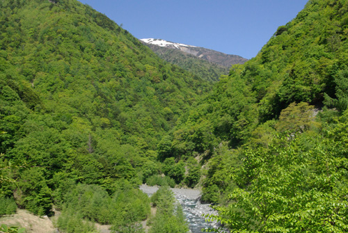 クモツキを追って　-静岡編-　①_e0167571_623299.jpg