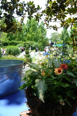 f0232083_6401223.jpg