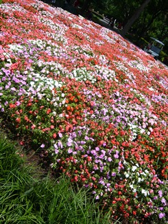 f0232083_641638.jpg