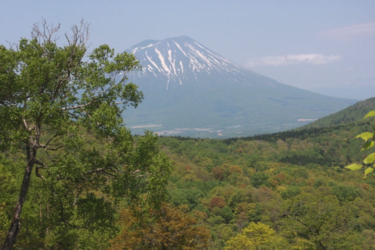 d0082288_21493145.jpg