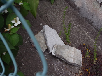 メンテナンスしない建物の末路_a0049695_15553760.jpg