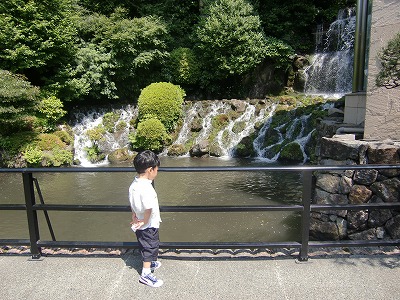 d0141800_11291762.jpg