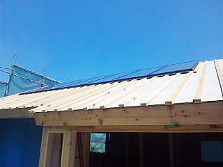 c0039501_17524115.jpg