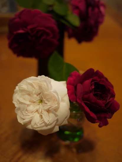e0163202_2101987.jpg