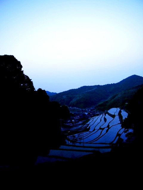 何かに迷ったとき･･･_c0198903_142267.jpg