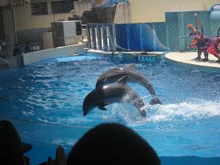 e0144903_012565.jpg