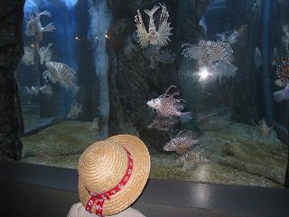 e0144903_0201670.jpg