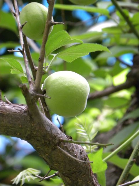 f0144003_16491069.jpg