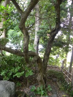 f0144003_23331849.jpg