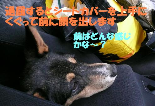f0121712_10174068.jpg