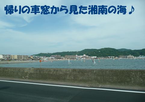 f0121712_10262750.jpg