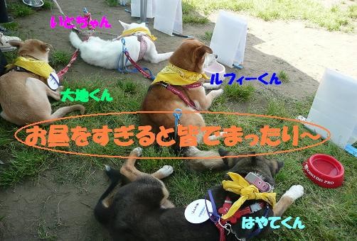f0121712_1054355.jpg