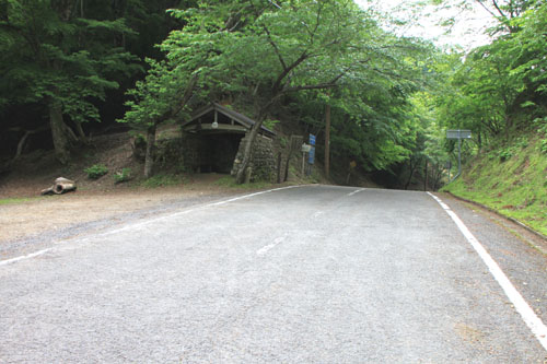 佐々里峠 芦生_e0048413_1744918.jpg