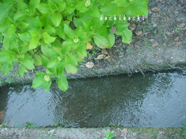 f0151213_165097.jpg