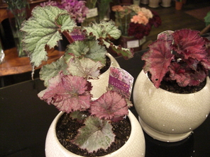 f0226713_0344225.jpg