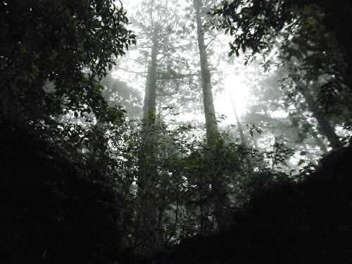 e0047322_2234227.jpg