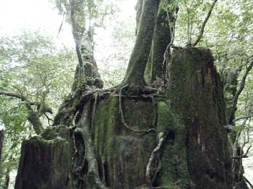 e0047322_22342999.jpg