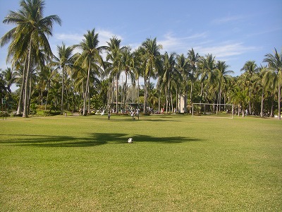 a0110123_1564091.jpg