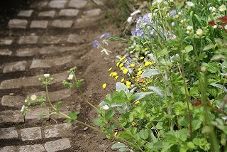 f0170524_14263746.jpg