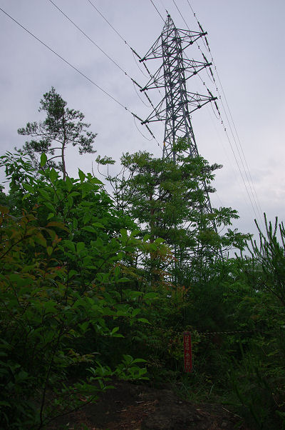 f0007926_16495692.jpg