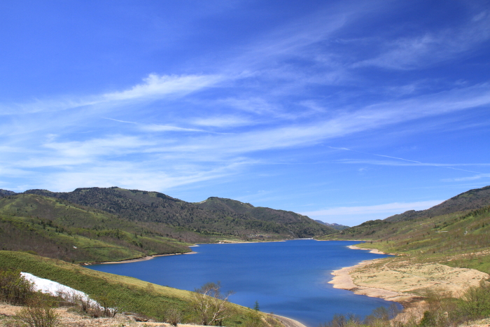 c0215627_73243.jpg