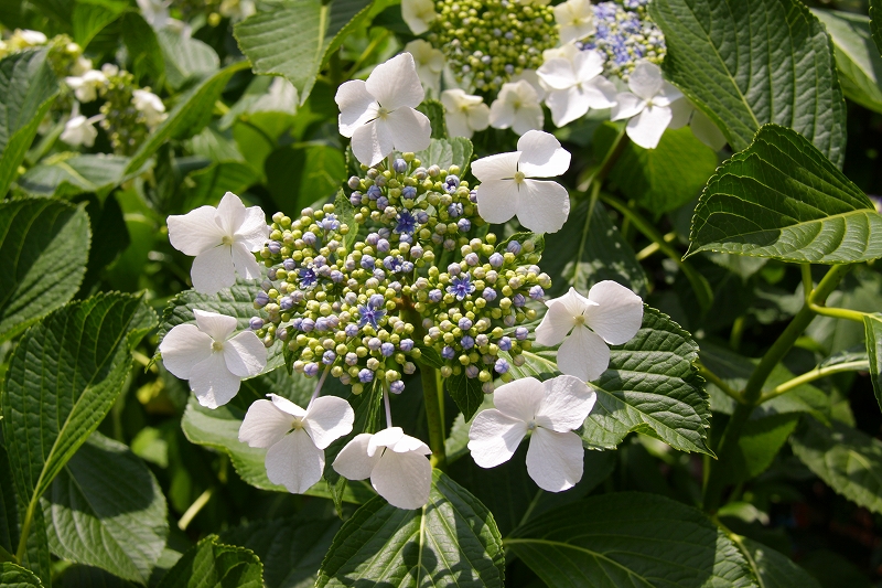 f0229832_17152941.jpg