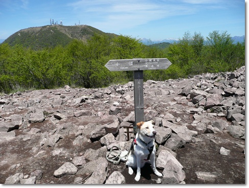 赤城・地蔵岳＆長七郎山ハイキング！（前編）_d0140133_22432.jpg